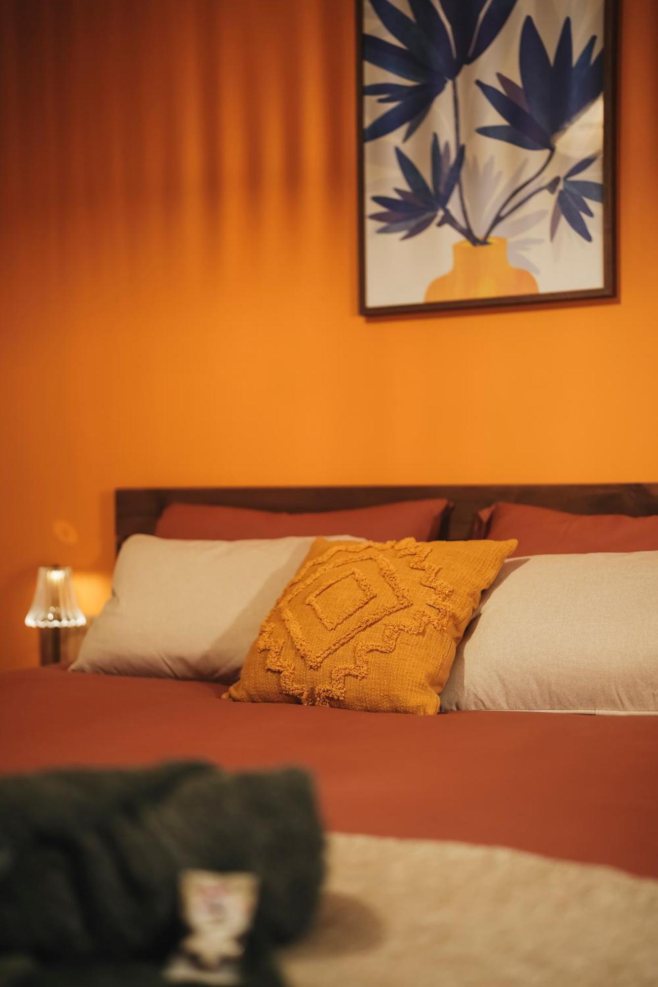Pisana House - De Charme Confort Annemasse